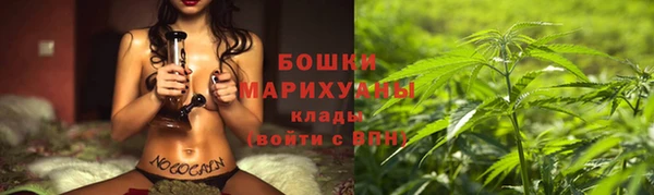 ГАЛЛЮЦИНОГЕННЫЕ ГРИБЫ Баксан
