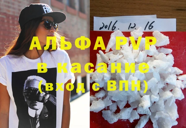 прущие грибы Балахна