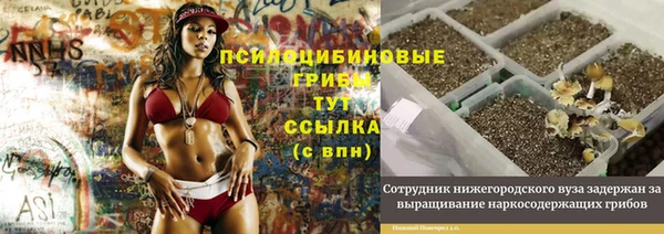 скорость Сафоново
