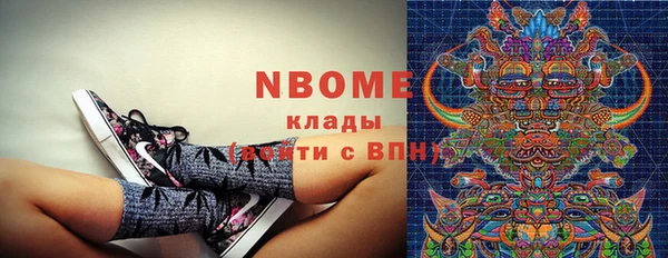 прущие грибы Балахна