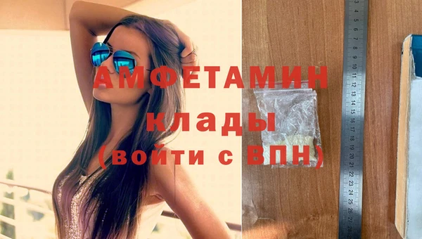 прущие грибы Балахна