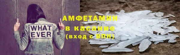 прущие грибы Балахна