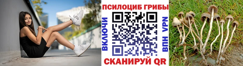 Галлюциногенные грибы Psilocybe  мега зеркало  Балашов  купить  